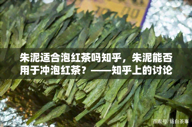 朱泥适合泡红茶吗知乎，朱泥能否用于冲泡红茶？——知乎上的讨论与分析