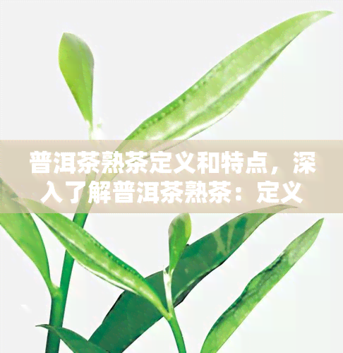 普洱茶熟茶定义和特点，深入了解普洱茶熟茶：定义与特点解析