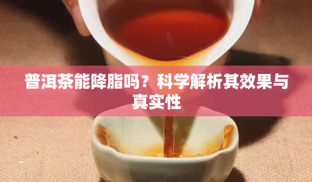 普洱茶能降脂吗？科学解析其效果与真实性