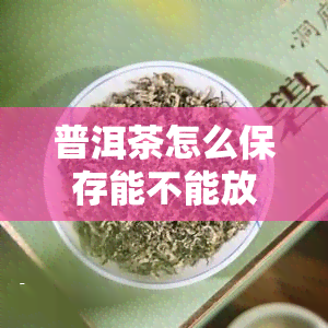 普洱茶怎么保存能不能放冰箱里面，普洱茶的正确保存方式：可以放在冰箱里吗？