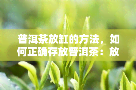 普洱茶放缸的方法，如何正确存放普洱茶：放缸方法详解