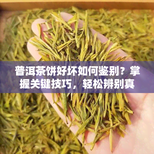 普洱茶饼好坏如何鉴别？掌握关键技巧，轻松辨别真伪！