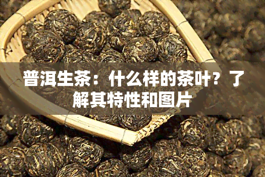 普洱生茶：什么样的茶叶？了解其特性和图片