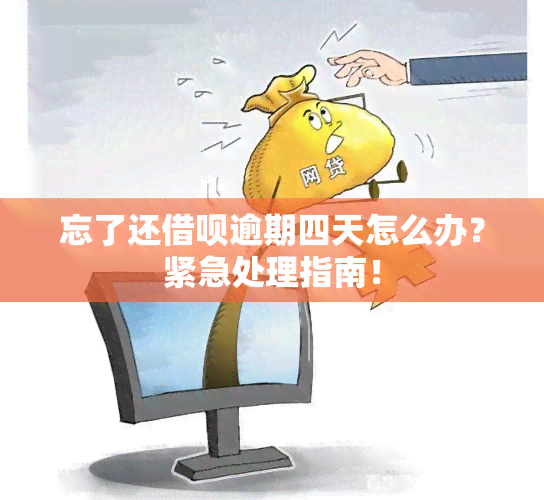 忘了还借呗逾期四天怎么办？紧急处理指南！