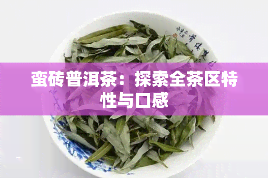 蛮砖普洱茶：探索全茶区特性与口感