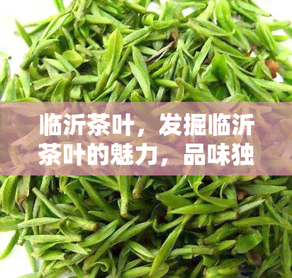 临沂茶叶，发掘临沂茶叶的魅力，品味独具特色的茶香世界