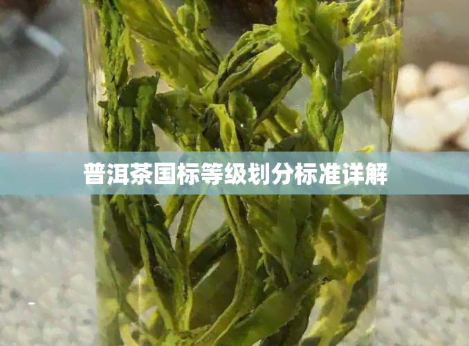 普洱茶国标等级划分标准详解