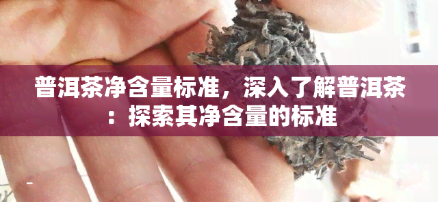 普洱茶净含量标准，深入了解普洱茶：探索其净含量的标准