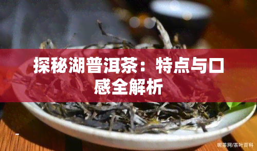 探秘湖普洱茶：特点与口感全解析