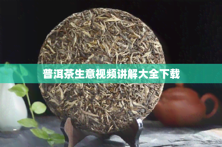 普洱茶生意视频讲解大全下载