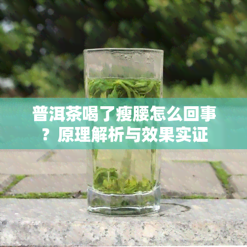 普洱茶喝了瘦腰怎么回事？原理解析与效果实证