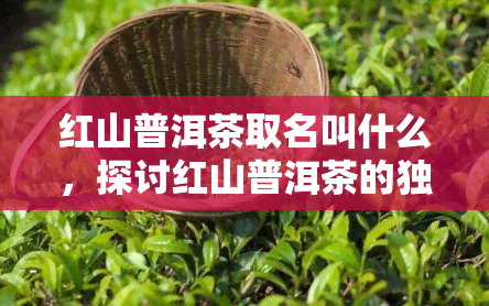 红山普洱茶取名叫什么，探讨红山普洱茶的独特魅力，给它起个响亮的名字！