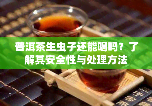 普洱茶生虫子还能喝吗？了解其安全性与处理方法