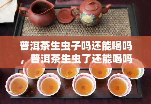 普洱茶生虫子吗还能喝吗，普洱茶生虫了还能喝吗？关键看这里！