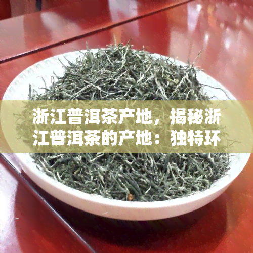 浙江普洱茶产地，揭秘浙江普洱茶的产地：独特环境孕育出的美味茶叶