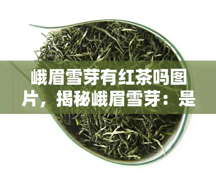 峨眉雪芽有红茶吗图片，揭秘峨眉雪芽：是否含有红茶？看图揭晓！