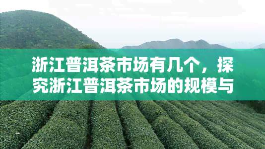 浙江普洱茶市场有几个，探究浙江普洱茶市场的规模与潜力：究竟有多少个商家在竞争？