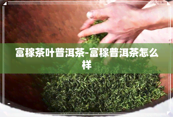 富稼茶叶普洱茶-富稼普洱茶怎么样