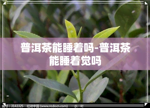 普洱茶能睡着吗-普洱茶能睡着觉吗