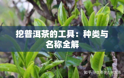 挖普洱茶的工具：种类与名称全解