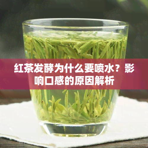 红茶发酵为什么要喷水？影响口感的原因解析