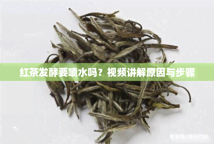 红茶发酵要喷水吗？视频讲解原因与步骤