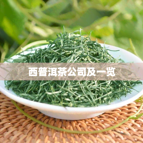 西普洱茶公司及一览