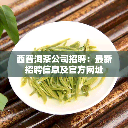 西普洱茶公司招聘：最新招聘信息及官方网址