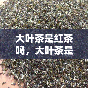 大叶茶是红茶吗，大叶茶是否属于红茶？探讨其分类与特点