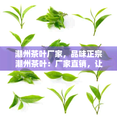 潮州茶叶厂家，品味正宗潮州茶叶：厂家直销，让您尽享优质茶香！