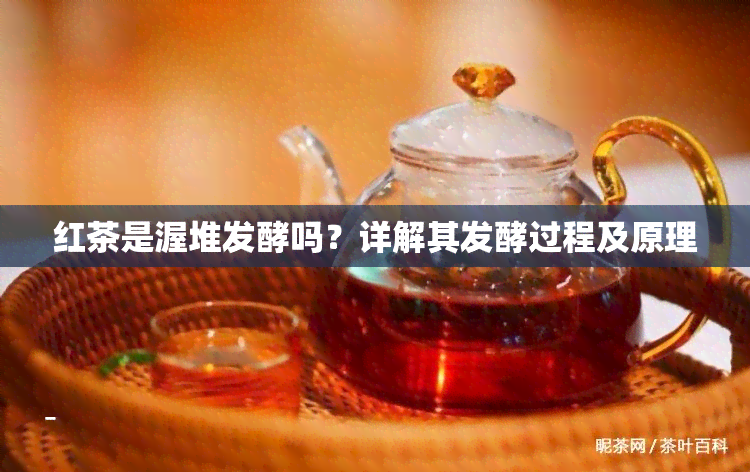 红茶是渥堆发酵吗？详解其发酵过程及原理