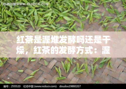 红茶是渥堆发酵吗还是干燥，红茶的发酵方式：渥堆还是干燥？