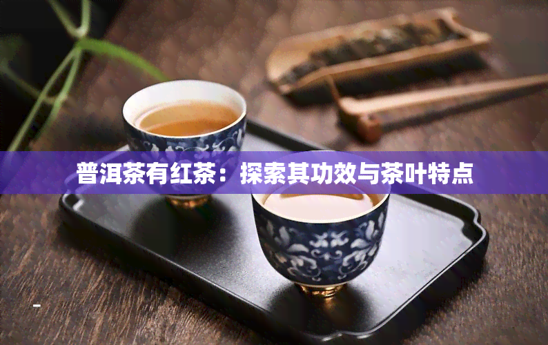 普洱茶有红茶：探索其功效与茶叶特点