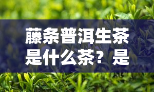 藤条普洱生茶是什么茶？是生茶还是熟茶？