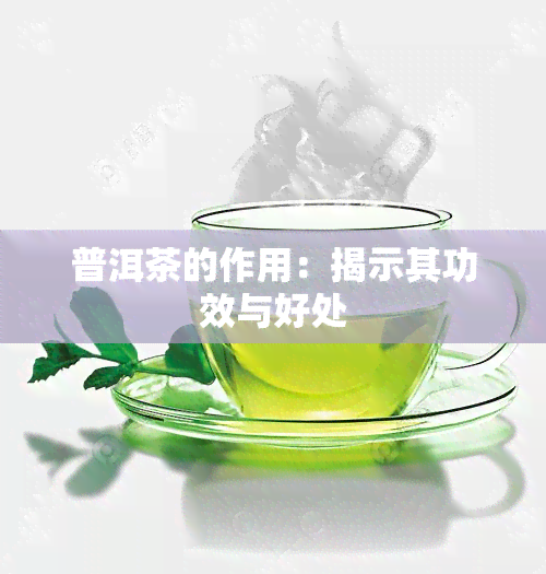 普洱茶的作用：揭示其功效与好处