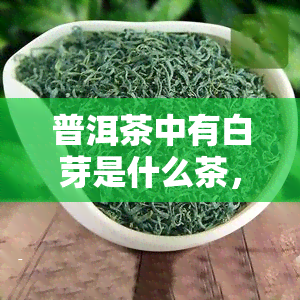 普洱茶中有白芽是什么茶，揭秘普洱茶中的白芽：这是一种什么茶？