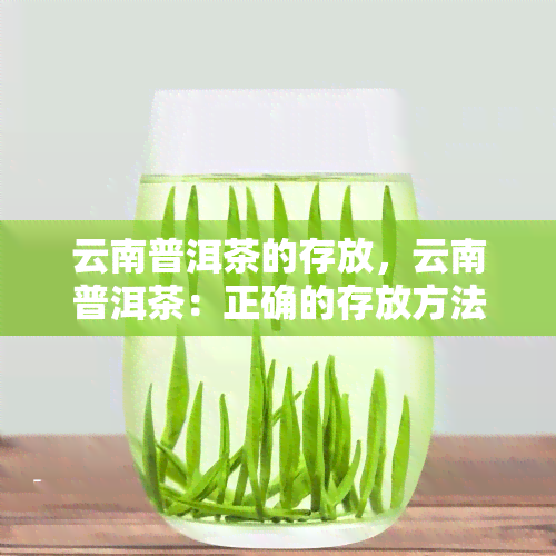 云南普洱茶的存放，云南普洱茶：正确的存放方法与技巧