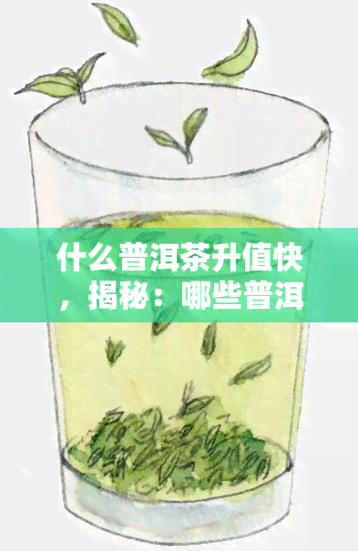 什么普洱茶升值快，揭秘：哪些普洱茶品种升值速度最快？