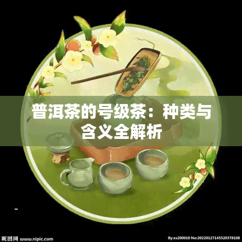 普洱茶的号级茶：种类与含义全解析