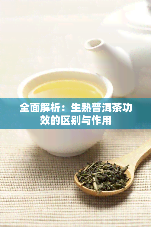 全面解析：生熟普洱茶功效的区别与作用