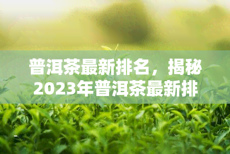 普洱茶最新排名，揭秘2023年普洱茶最新排名，哪一款值得你尝试？