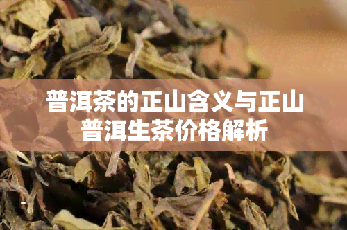 普洱茶的正山含义与正山普洱生茶价格解析