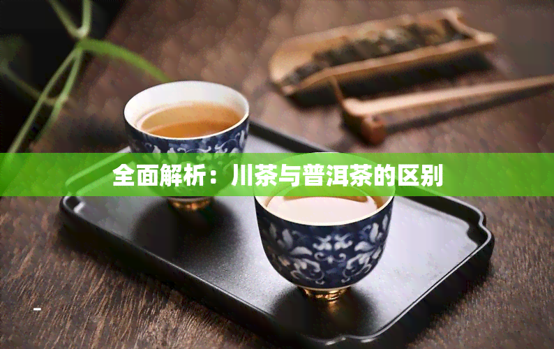 全面解析：川茶与普洱茶的区别