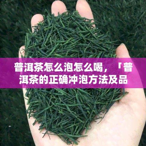 普洱茶怎么泡怎么喝，「普洱茶的正确冲泡方法及品尝技巧」