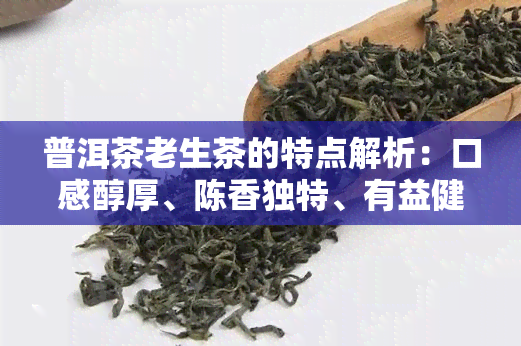 普洱茶老生茶的特点解析：口感醇厚、陈香独特、有益健