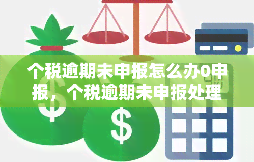 个税逾期未申报怎么办0申报，个税逾期未申报处理方法：如何进行0申报？