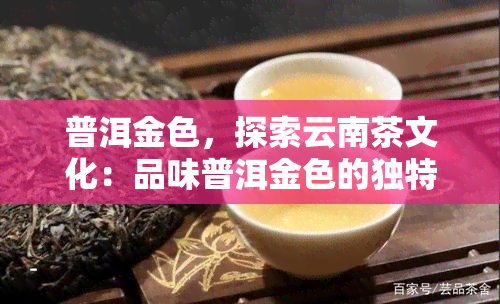 普洱金色，探索云南茶文化：品味普洱金色的独特魅力