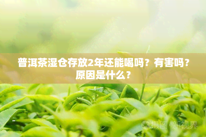 普洱茶湿仓存放2年还能喝吗？有害吗？原因是什么？