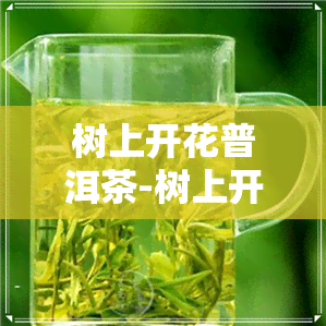 树上开花普洱茶-树上开花普洱茶图片