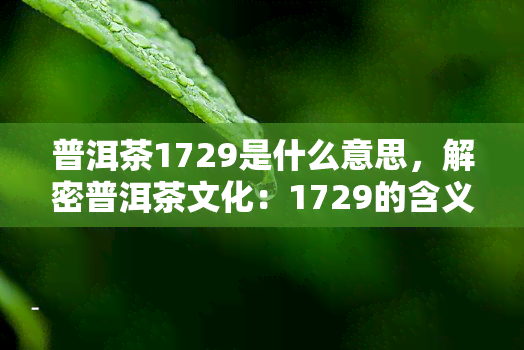 普洱茶1729是什么意思，解密普洱茶文化：1729的含义与由来